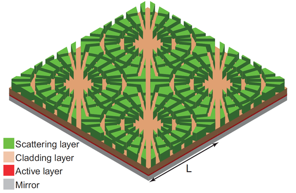organic solar cell,