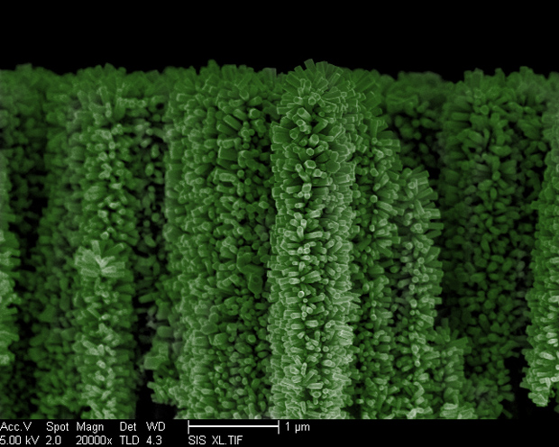Nanotrees Harvest the Sun’s Energy to Turn Water into Hydrogen Fuel