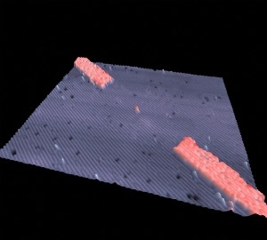 Single-atom transistor for a future quantum computer