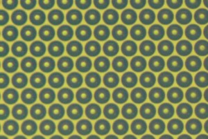 biochip-array