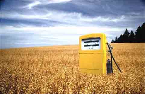 Biodiesel Fuel Simply Explained