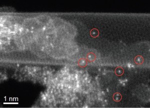 carbon nanotube