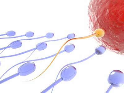 Cell-phones-electromagnetic-radiations-fertility-infogreenglobal-news