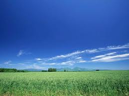 Grant will help farmers deal with changes to climates