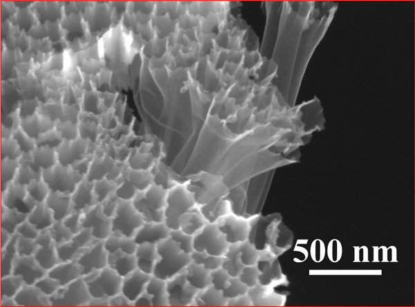 The next generation of lithium ion battery
