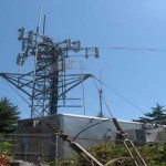 Human Exposure To Radio Frequency Fields