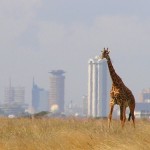 kenyan-solar-powered-mobile-phone