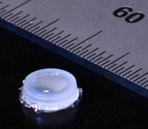 MIT Implantable Innovative Tool to Track Body Cancer Cells MIT Implantable Innovative Tool to Track Body Cancer Cells