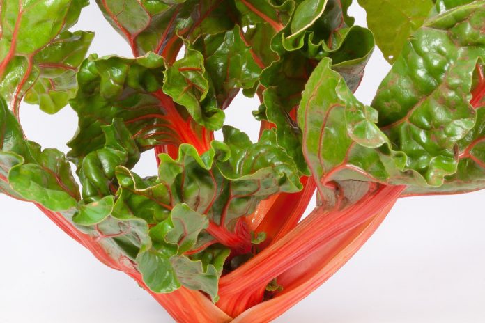 Nanosensors can translate plants signals