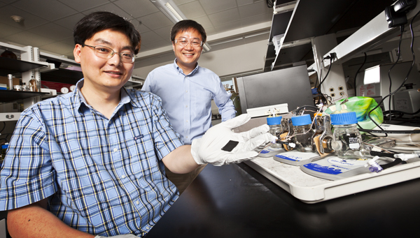 Nanorod catalyst material for microbial fuel cells