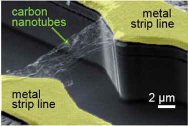 nanoscale photodetector