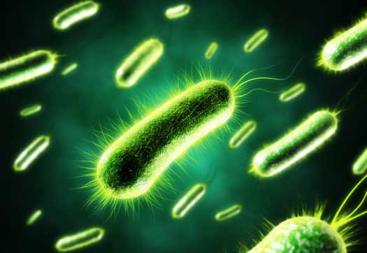 Nanowires-Electricity-Nuclear-Waste-Geobacter