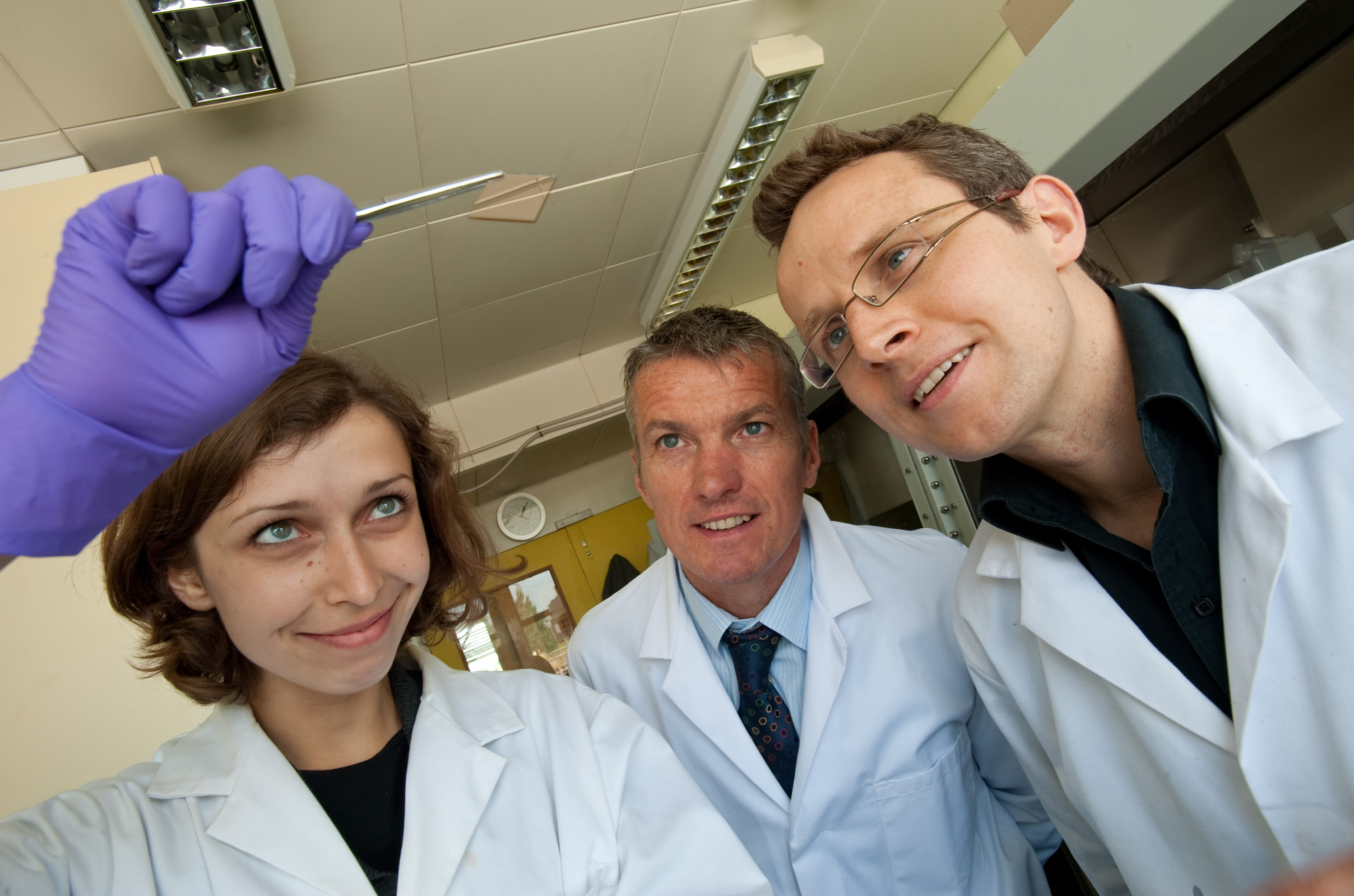 Researchers develop cheap golden window electrodes for organic solar cells