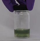 conducting polymers