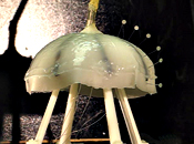 robojelly The Robojelly built on nanotechnology and powered by hydrogen and oxygen