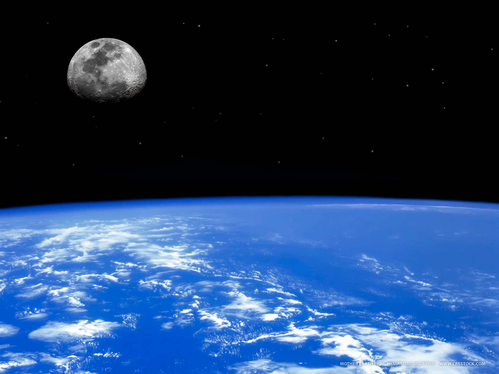 space Bugs from space to increase the electrical output of the fuel cells Bugs from space to increase the electrical output of the fuel cells Bugs from space to increase the electrical output of the fuel cells