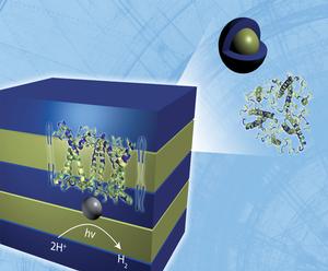 Sunlight to hydrogen system works