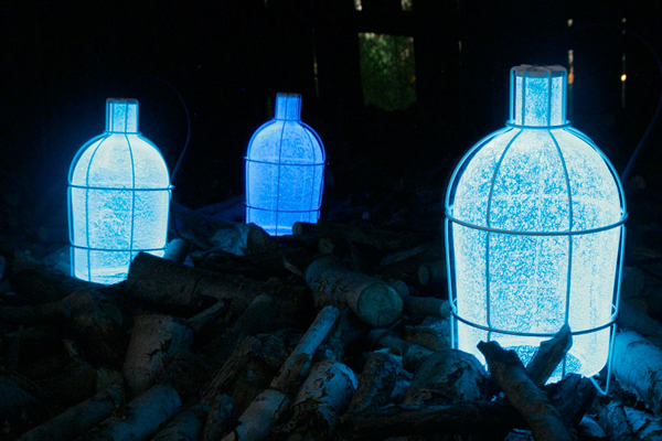 trap light -