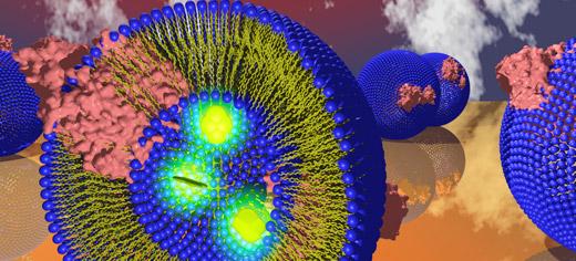 vesicles Creating energy from light and air